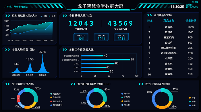 數(shù)據(jù)大屏 數(shù)據(jù)大屏